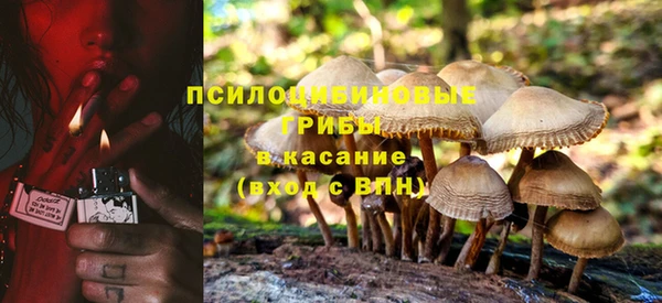 спайс Алексин