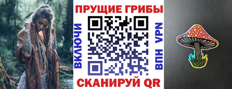 нарко площадка формула  Южно-Сухокумск  Псилоцибиновые грибы мухоморы 